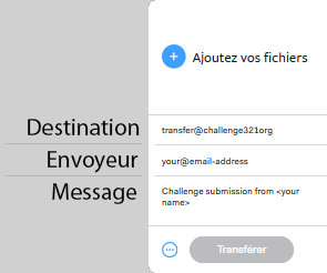 Une capture d'écran de ce formulaire wetransfer